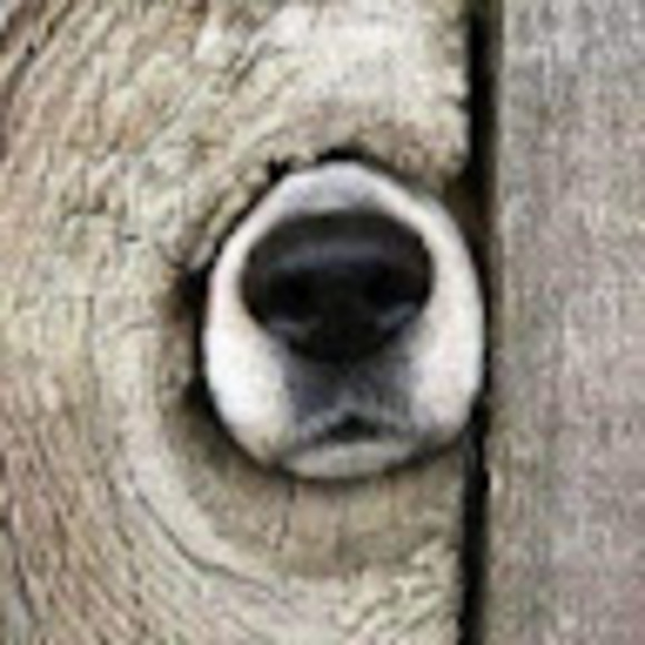 hope_kurth